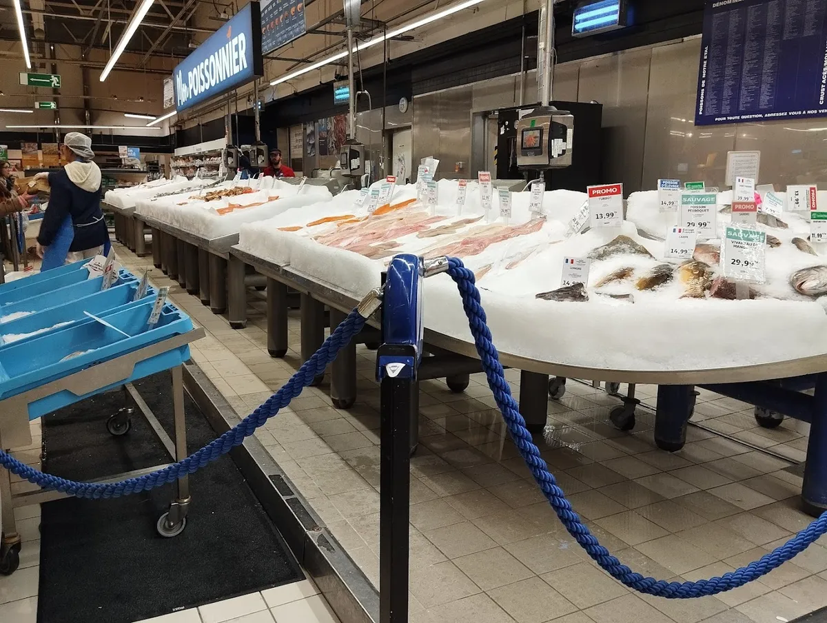 Aushopping Illkirch Baggersee - Image 7
