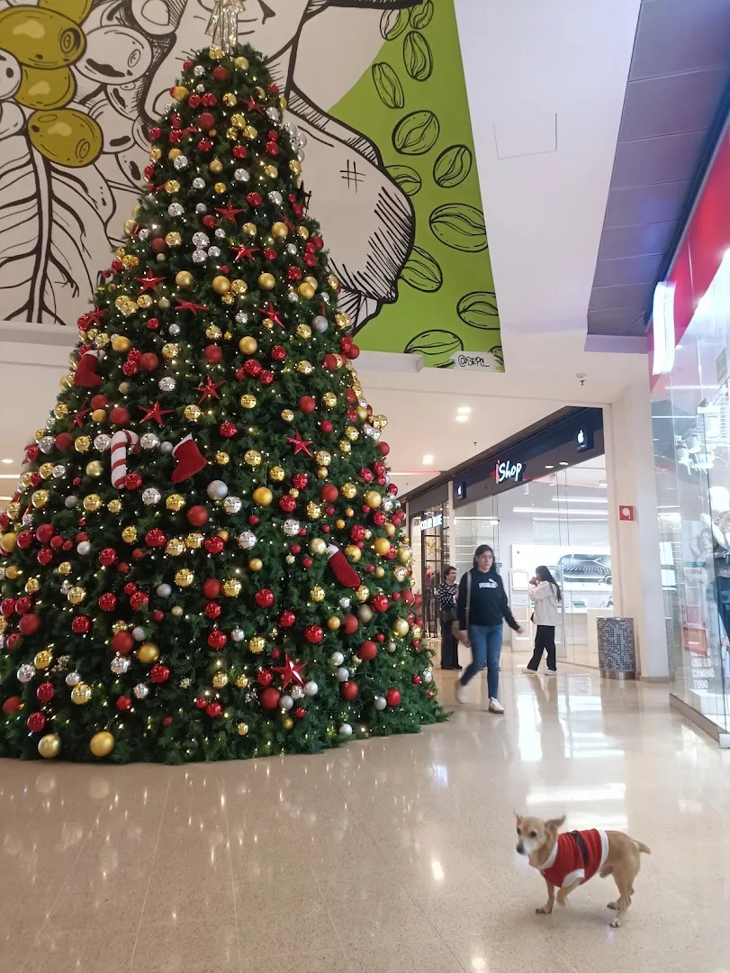 Centro Comercial Mall Plaza - Image 5