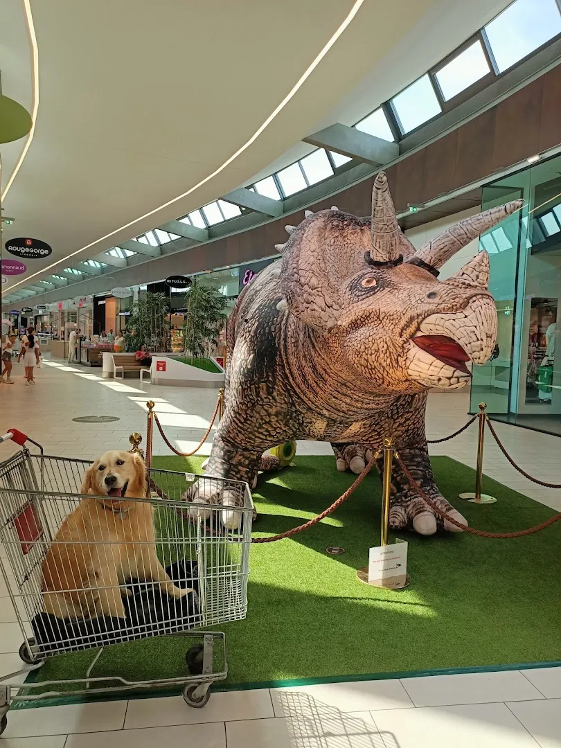 La Galerie Espaces Fenouillet - Image 5