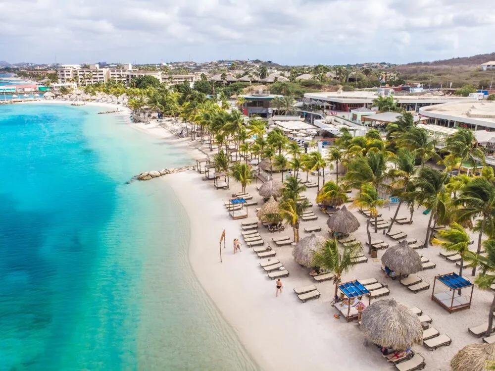 Mambo Beach Boulevard - Image 2
