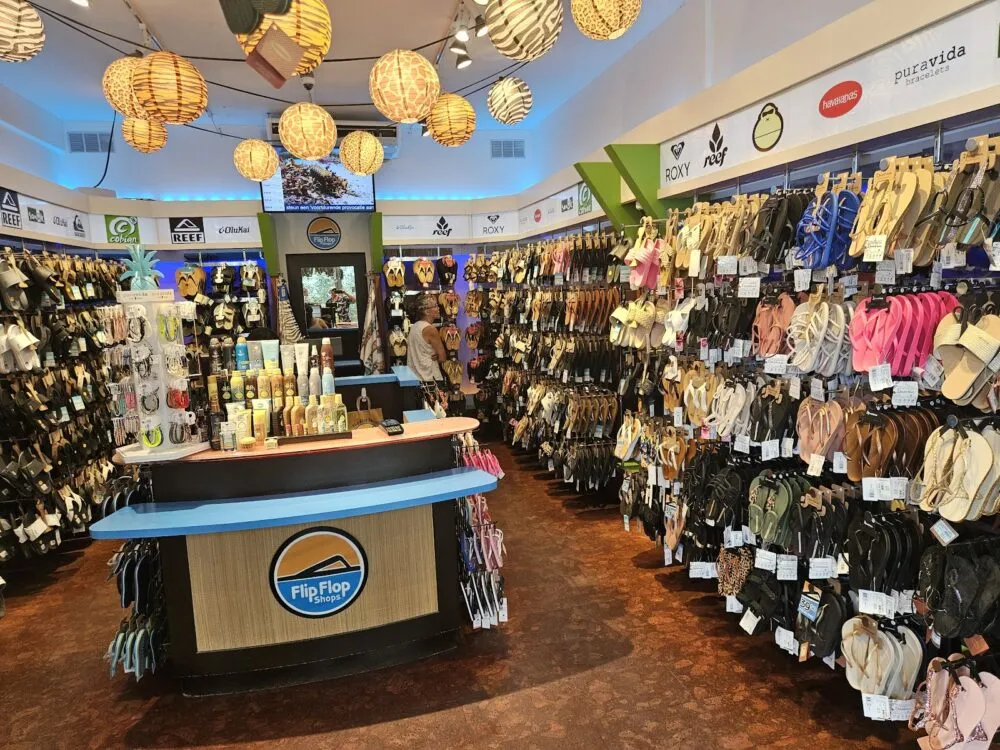 Mambo Beach Boulevard - Image 3