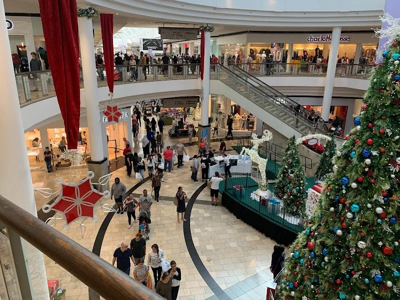 The Avenues - Image 2