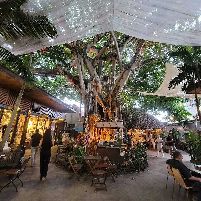 Upper Buena Vista - Image 3