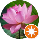 Orlando Fashion Square